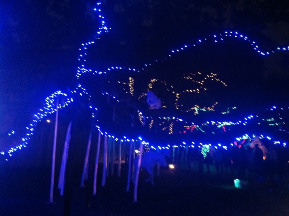 Some of the lights. They created a path and had Christmas music. The animals were mostly asleep, but the Lion did come out :)