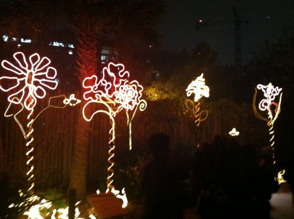 More zoo lights.